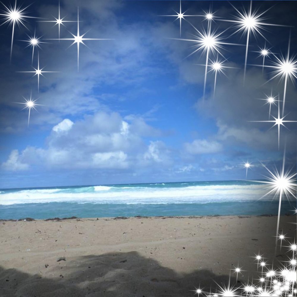 Meet your Posher, Rossy